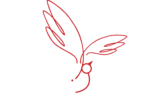 Stefani Debout Photographe